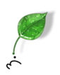 food organic