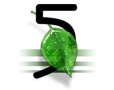 top 5 alternative methods of energy